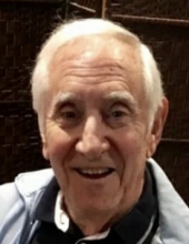 dominic notarantonio